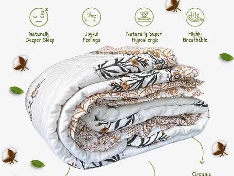 WhatsApp-Image-2025-12-01-at-1.54.27-PM-2